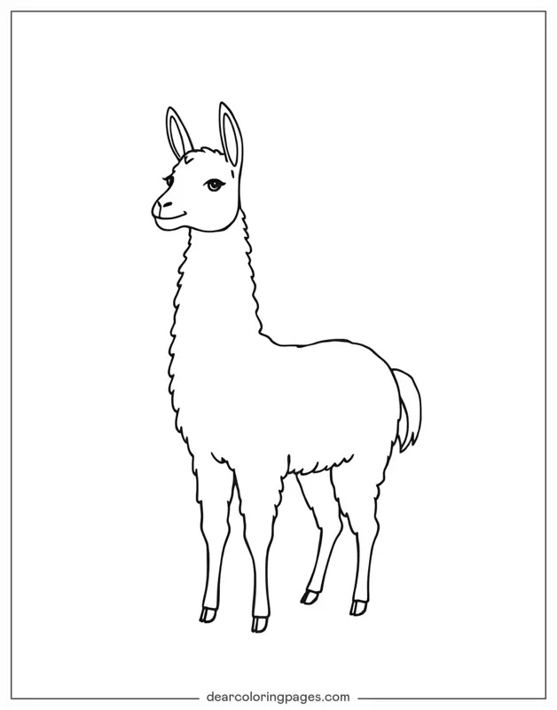 Lama Ausmalbild - Einfaches Llama-Umriss