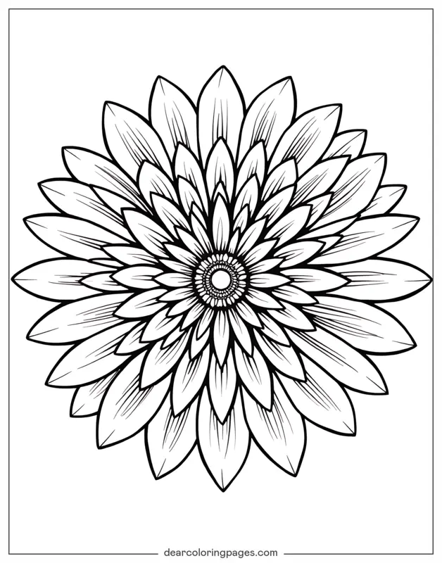 Mandala Dibujo para Colorear - Mándala de Crisantemo Simple