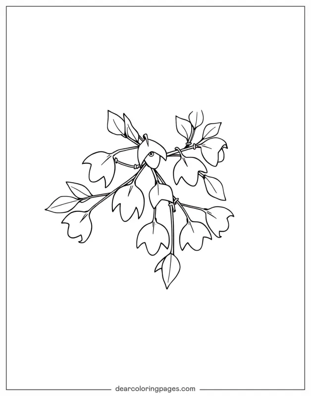 Vischio Disegno da Colorare - Semplice vischio