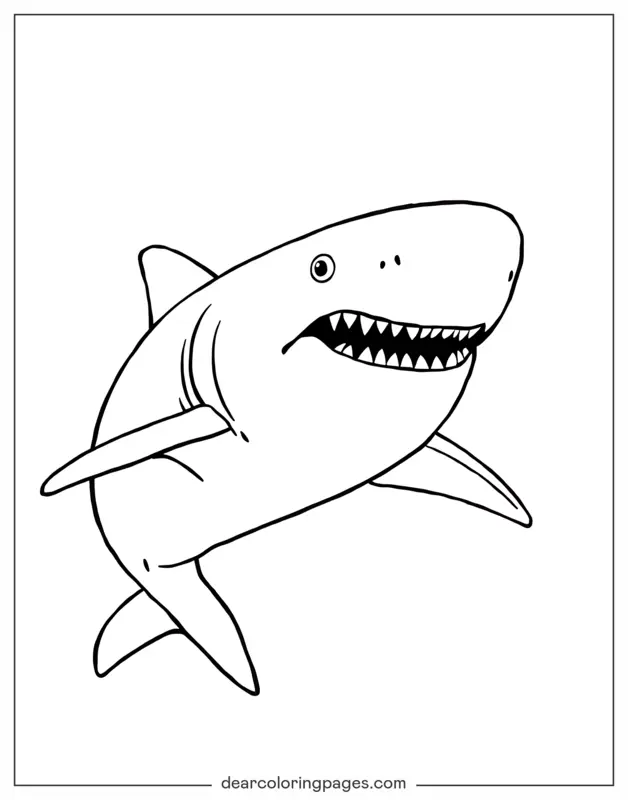 Ocean Animal Coloring Page - shark