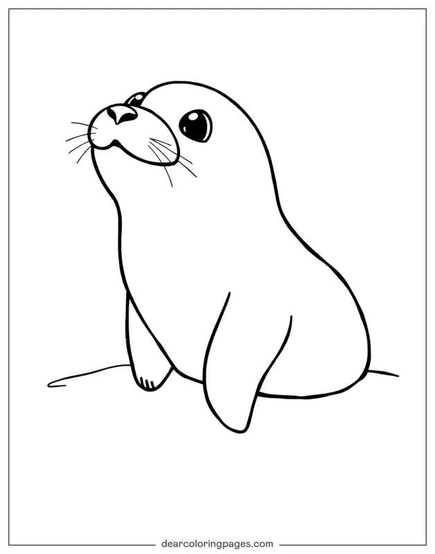 Ocean Animal Coloring Page - Seal