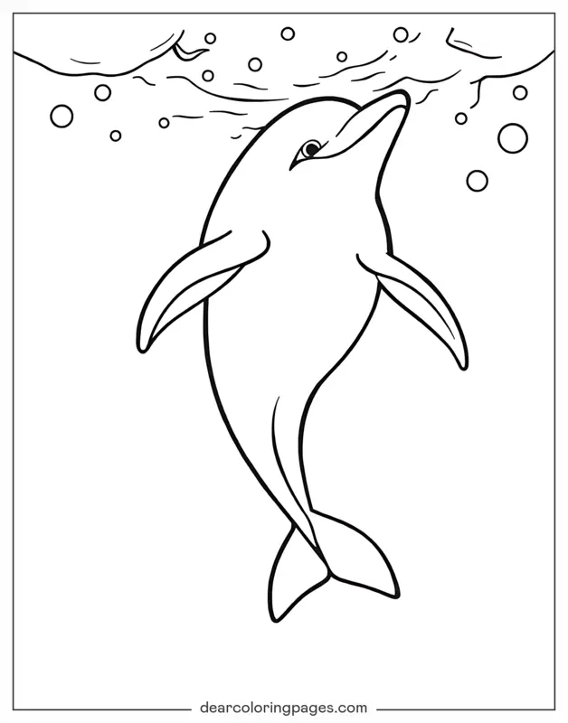 Ocean Animal Coloring Page - Dolphin