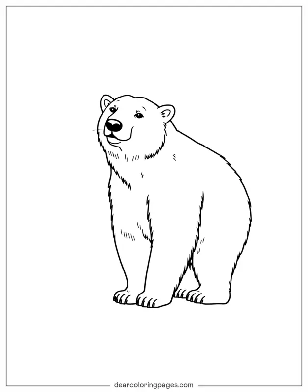 Ocean Animal Coloring Page - Polar Bear