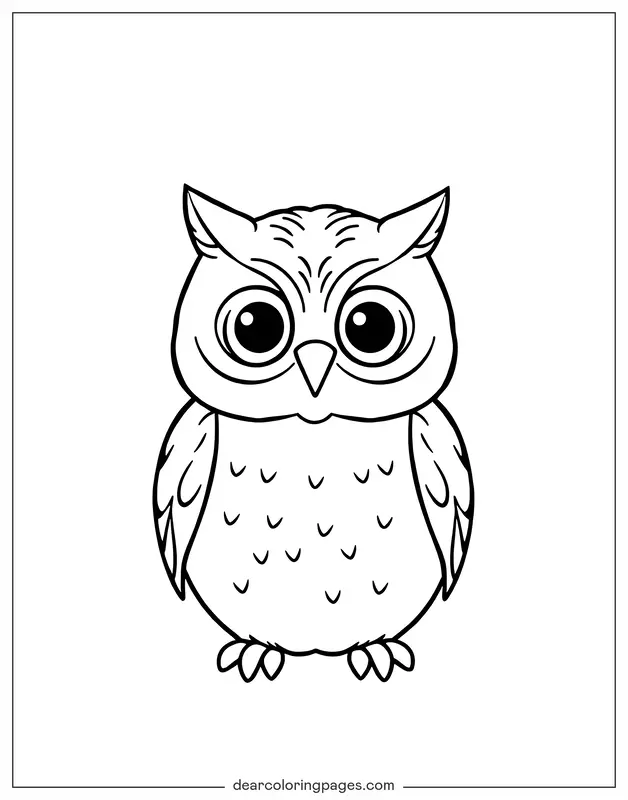 Adorable Owl