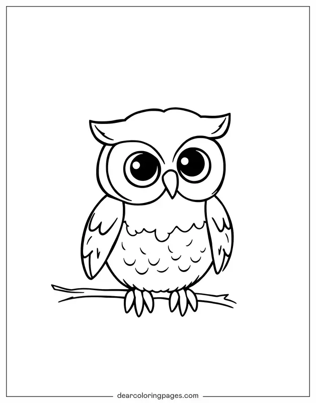 Chibi Owl