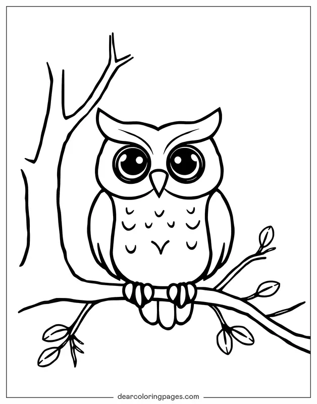 Simple Line Drawing of Owl