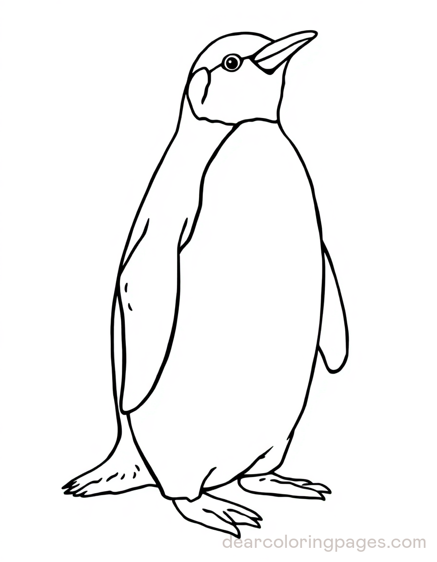 Realistic Penguin Coloring Page