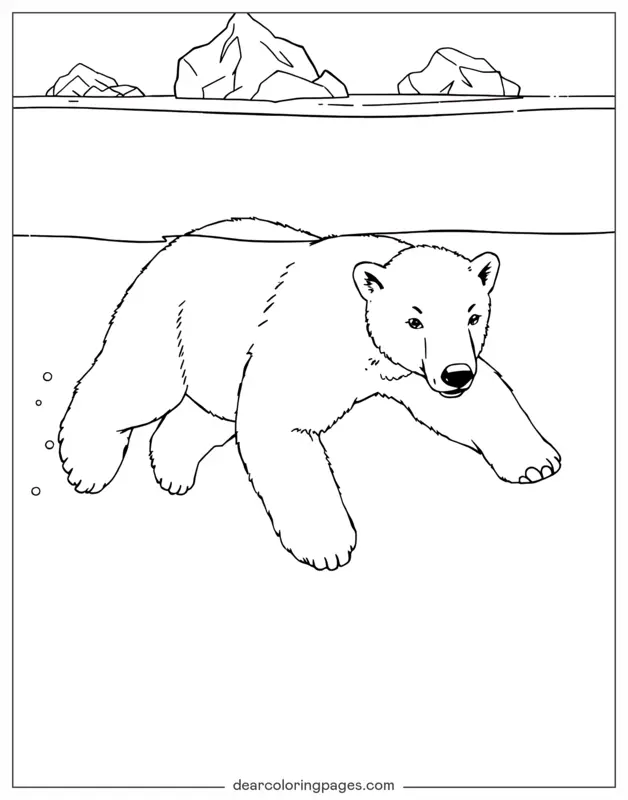 Eisbär Ausmalbild - Eisbär gleitet durch das Wasser.