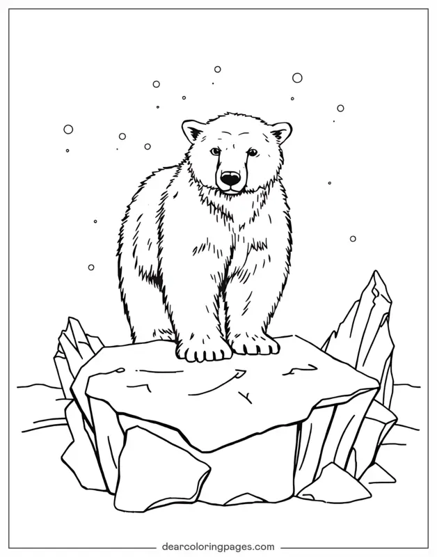 Eisbär Ausmalbild - Detaillierter Eisbär auf Eis