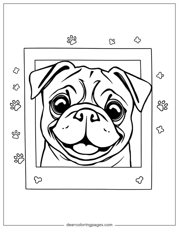 Mops Ausmalbild - Gerahmter Mops