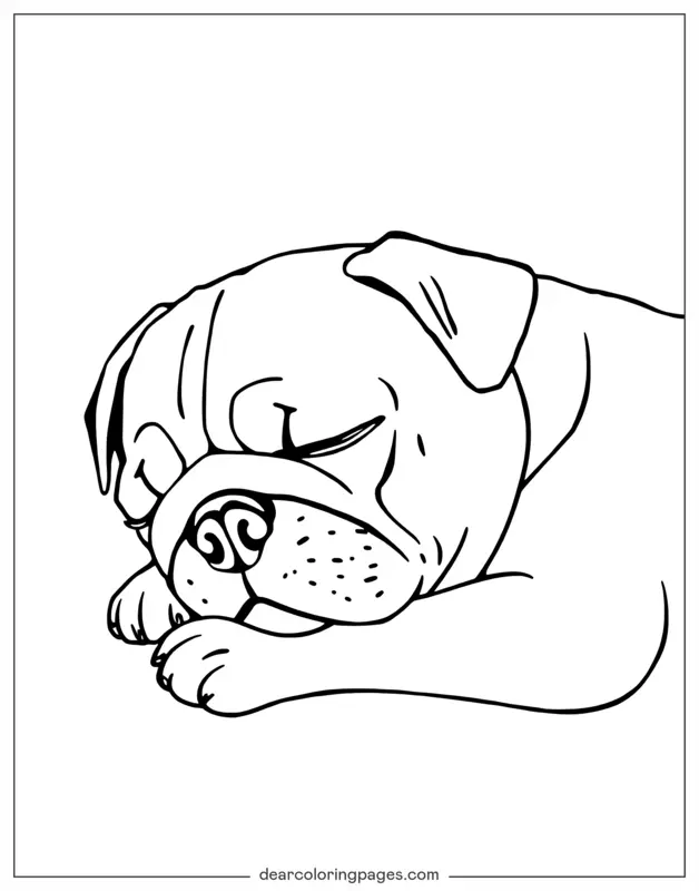 Mops Ausmalbild - Schlafender Mops
