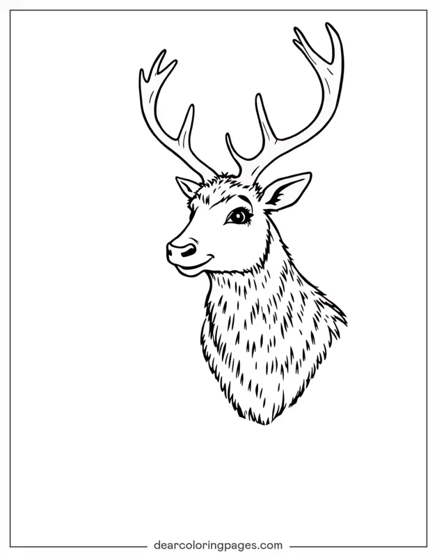 Reindeer Coloring Page - Reindeer Line Art