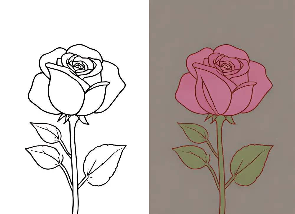 Rosa Desenhos para Colorir