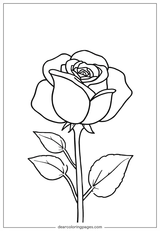 Rosa Desenho para Colorir - Coloração de Rosa Solitária