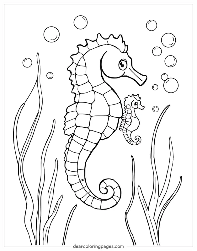 Caballito de mar Dibujo para Colorear - Caballito de mar y Bebé Caballito de mar