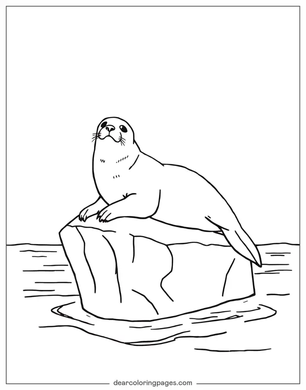 Ocean Animal Coloring Page - Seal Resting on Ice
