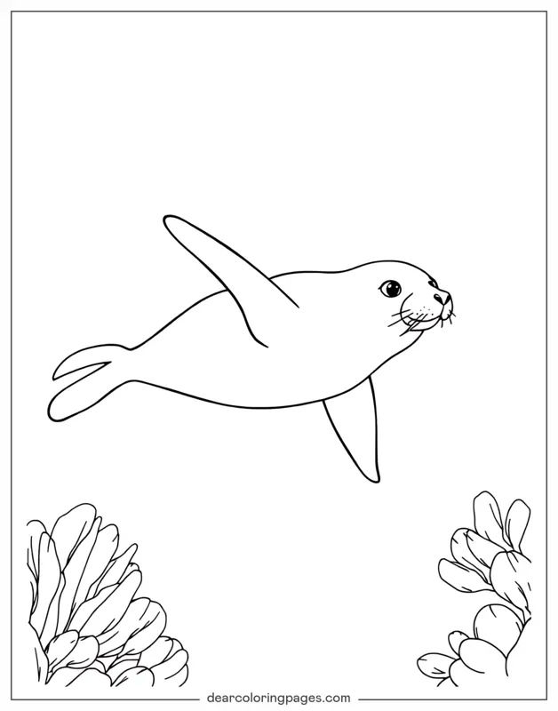 Seal Coloring Page - Swimming Seal
