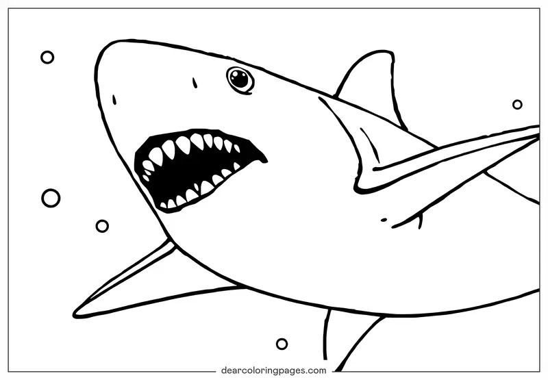 Shark Coloring Page - Shark Coloring Page