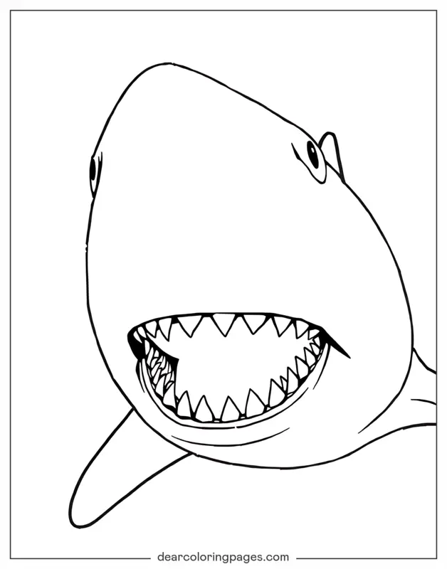 Shark Coloring Page - Shark Close Up