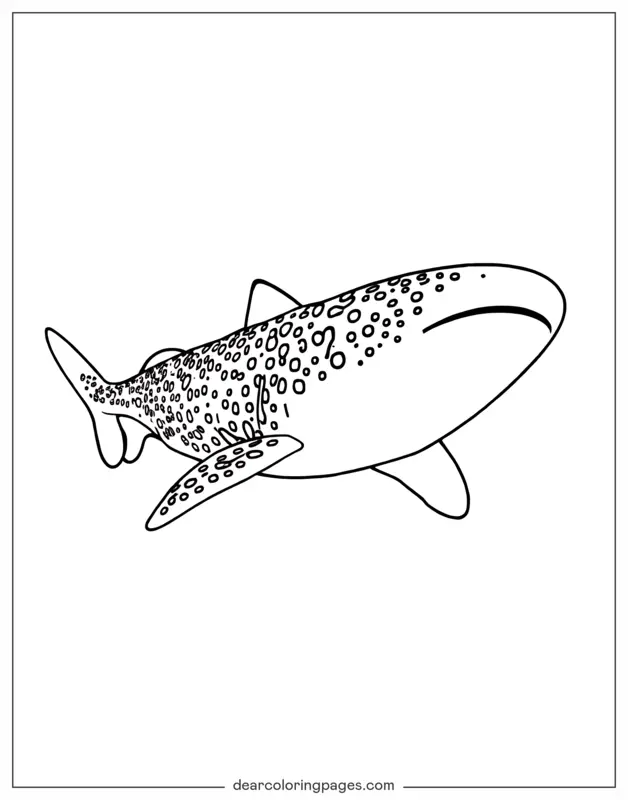 Shark Coloring Page - Whale Shark Coloring