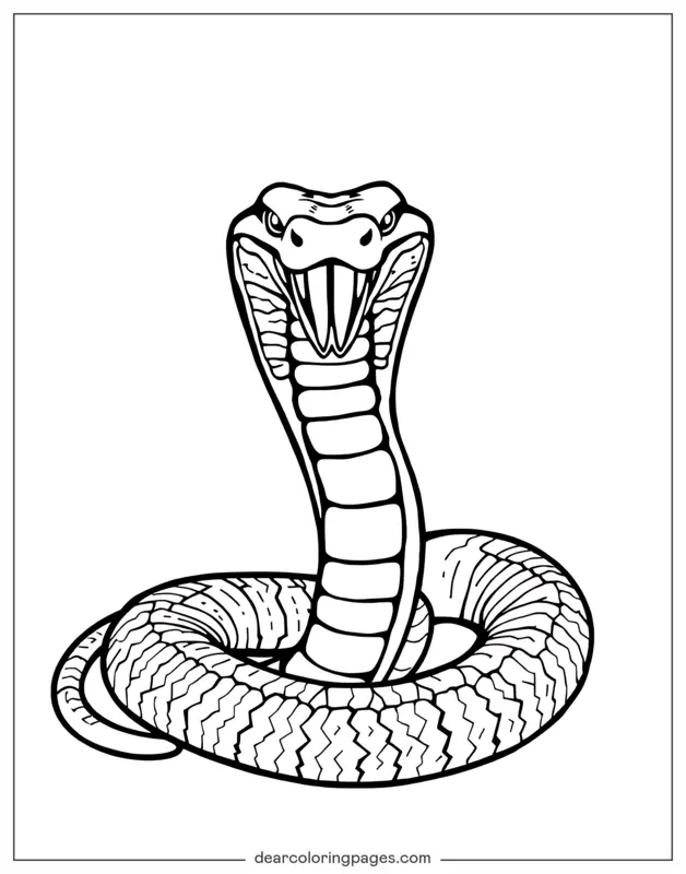 Serpiente Dibujo para Colorear - Cobra Real
