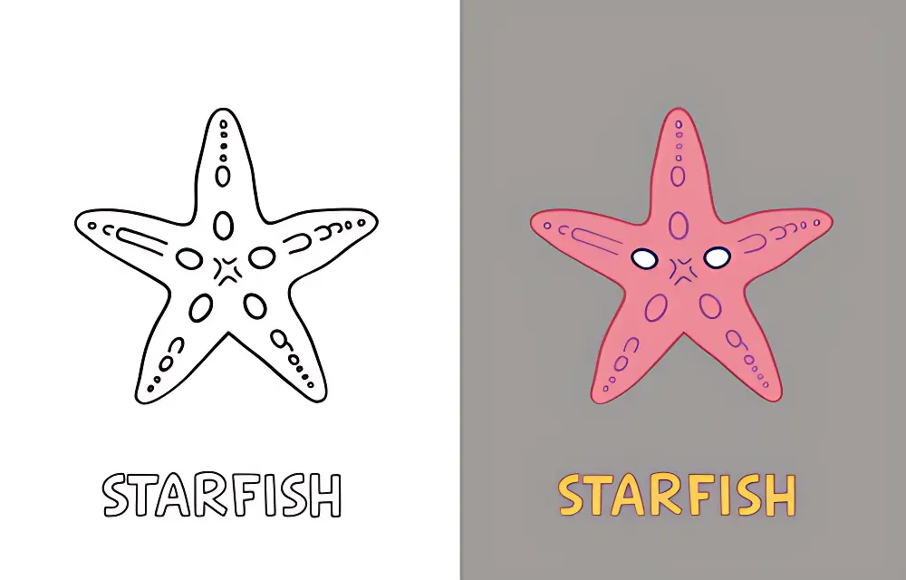 Starfish Coloring Pages