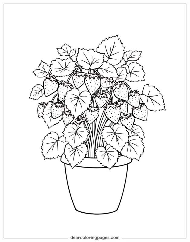 Fresa Dibujo para Colorear - Planta de Fresa en Maceta