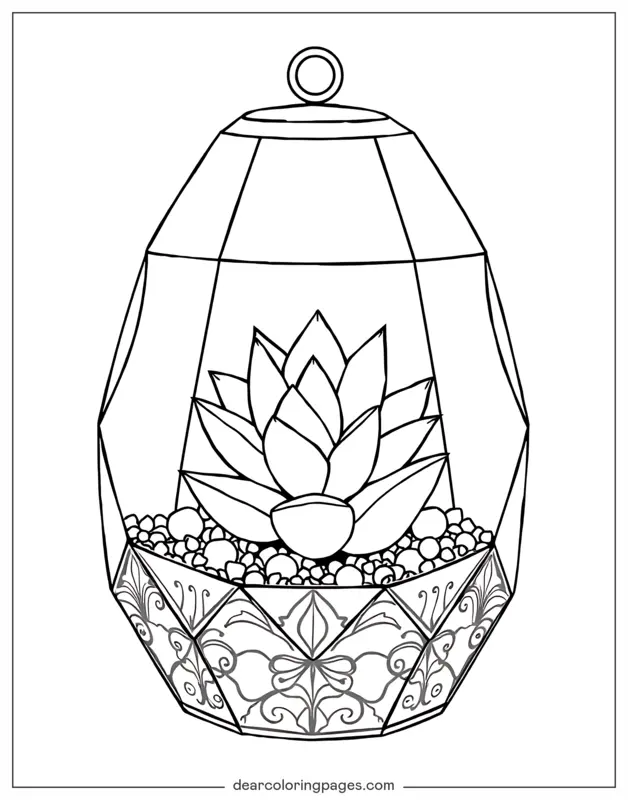Succulenta Disegno da Colorare - Succulenta in Terrario di Vetro