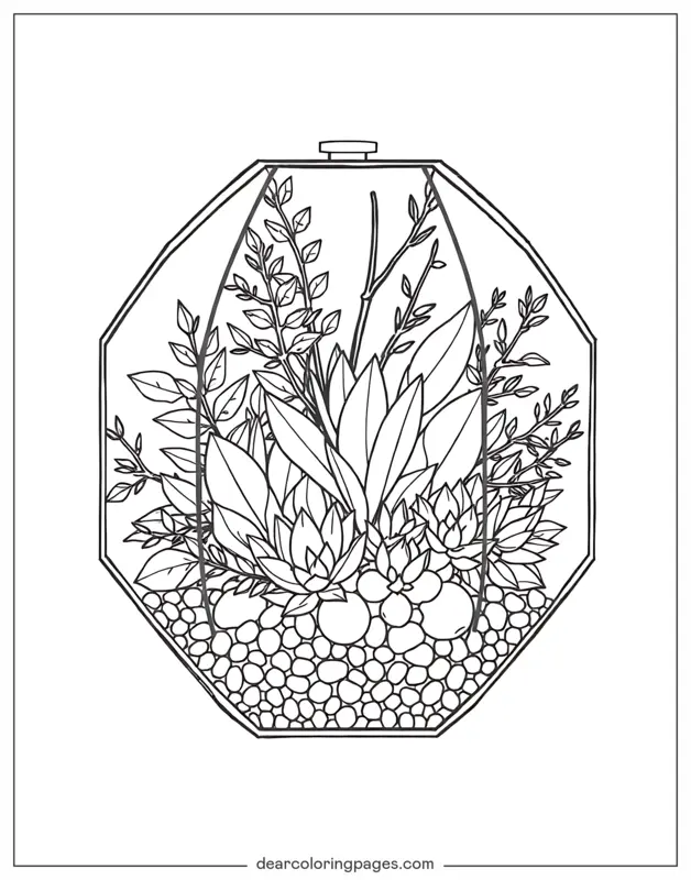 Terrario Disegno da Colorare - Terrario Ottagonale