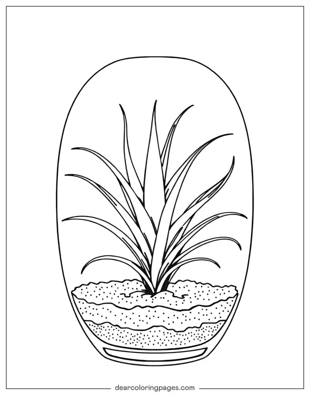 植物涂色页面 - 生态瓶涂色页