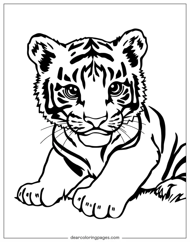 Tiger Coloring Page - Baby Tiger Coloring Page