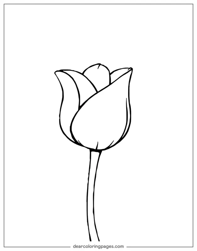Tulipano Disegno da Colorare - tulipano
