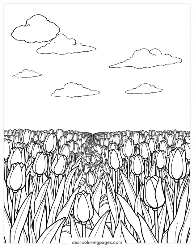 Tulipano Disegno da Colorare - Campo di tulipani