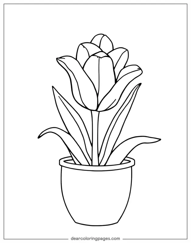 Tulipano Disegno da Colorare - Tiglio in un vaso