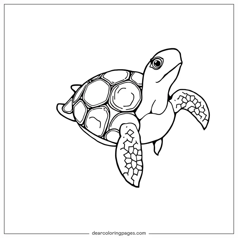 Turtle Coloring Page - Simple Sea Turtle Coloring Page