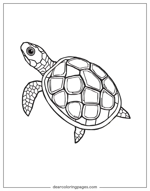 Turtle Coloring Page - Turtle With Mosaic Patterns