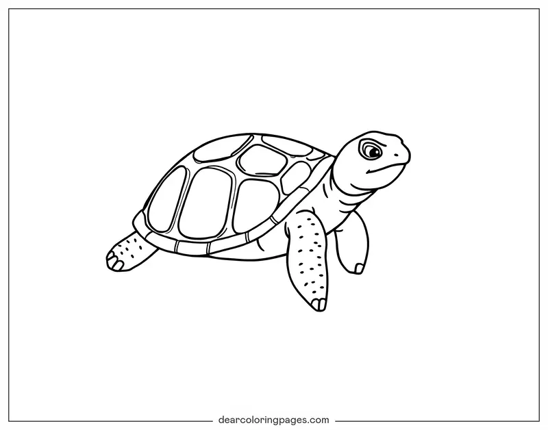 Turtle Coloring Page - Simple Line Art Turtle Coloring Page