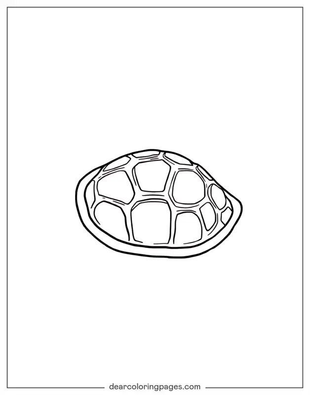 Turtle Coloring Page - Simple Line Turtle Shell