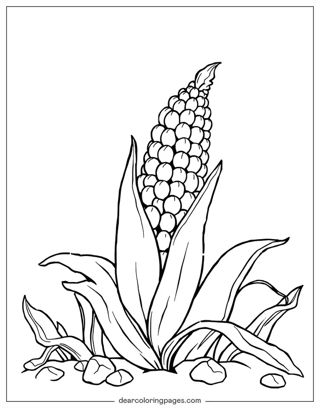 Coloriage de Légumes – maïs