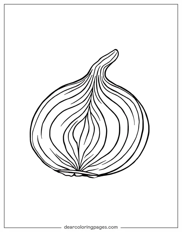 Coloriage de Légumes – Oignon moitié