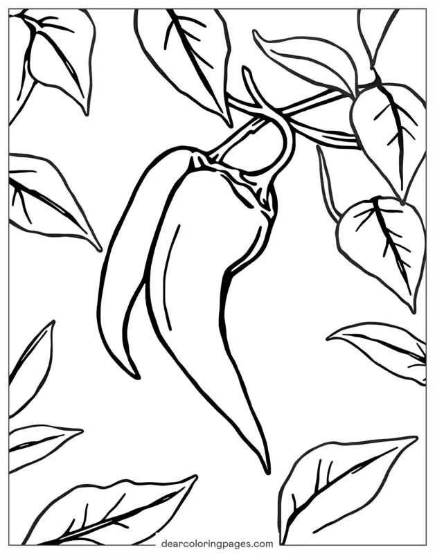 Coloriage de Légumes – Piment