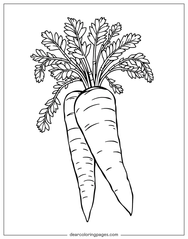 Coloriage de Légumes – Carottes
