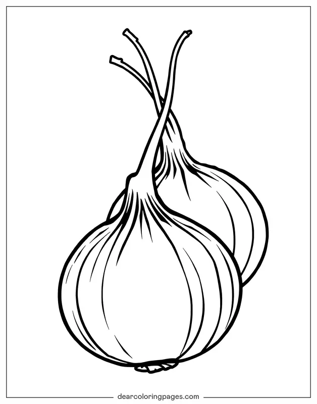 Coloriage de Légumes – Oignons