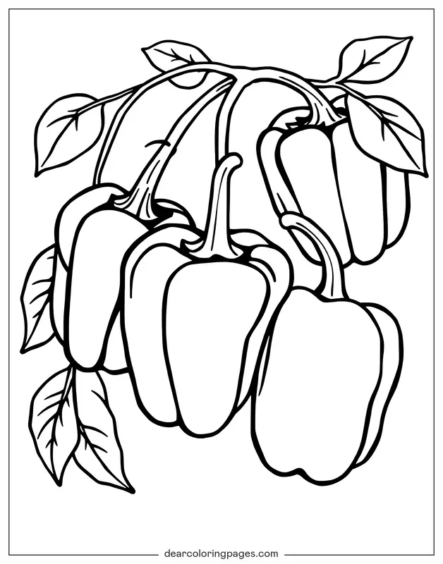 Coloriage de Légumes – Coloriage Légumes Poivrons