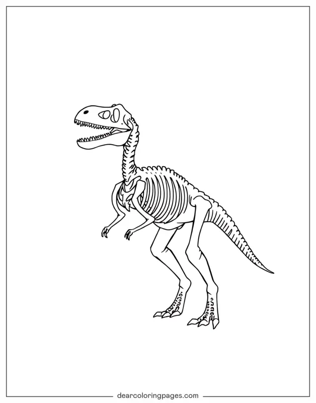 Velociraptor Dibujo para Colorear - Esqueleto de Velociraptor