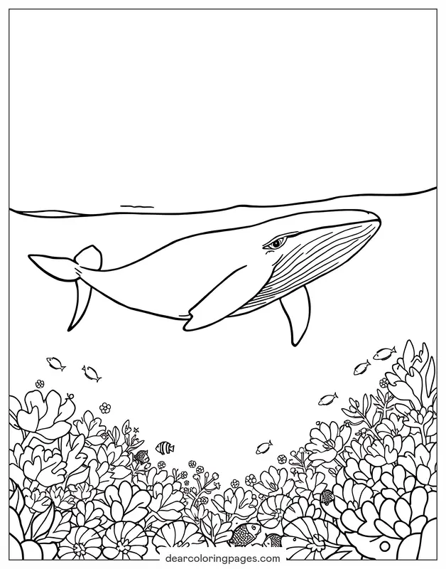 海洋鲸鱼场景涂色页
