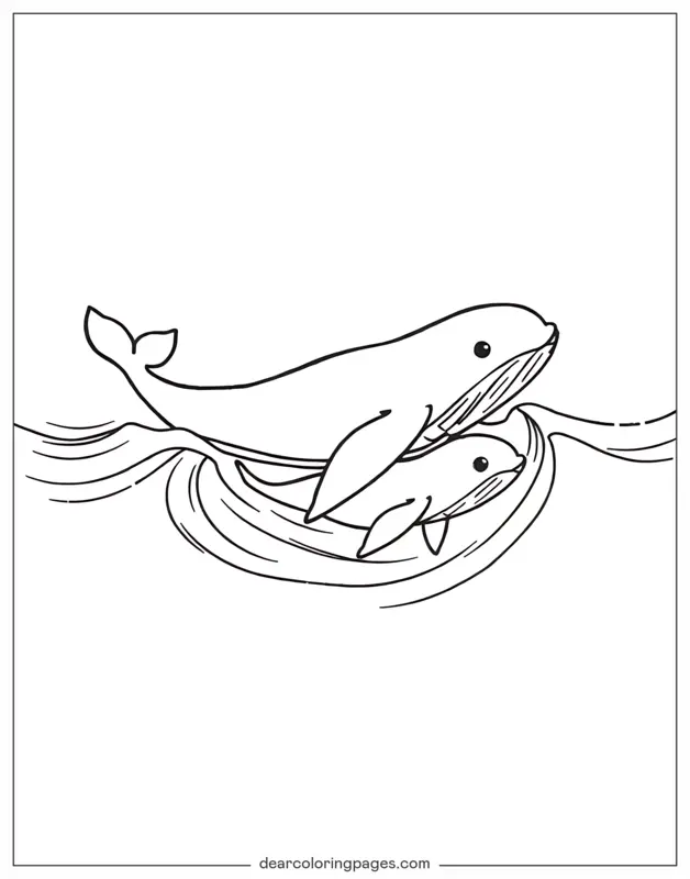 Animali Disegni da Colorare - Balena Disegno da Colorare