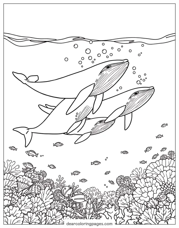 鲸群穿过海浪游泳